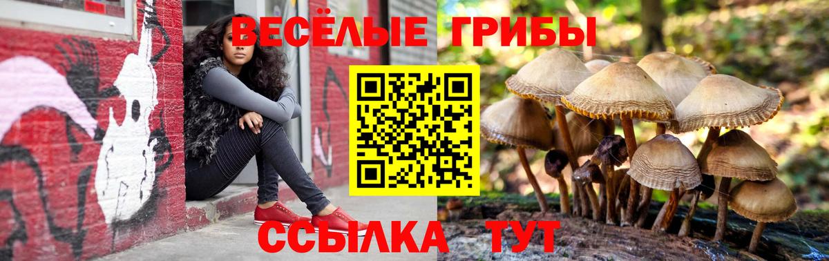 Псилоцибиновые грибы прущие грибы Топки