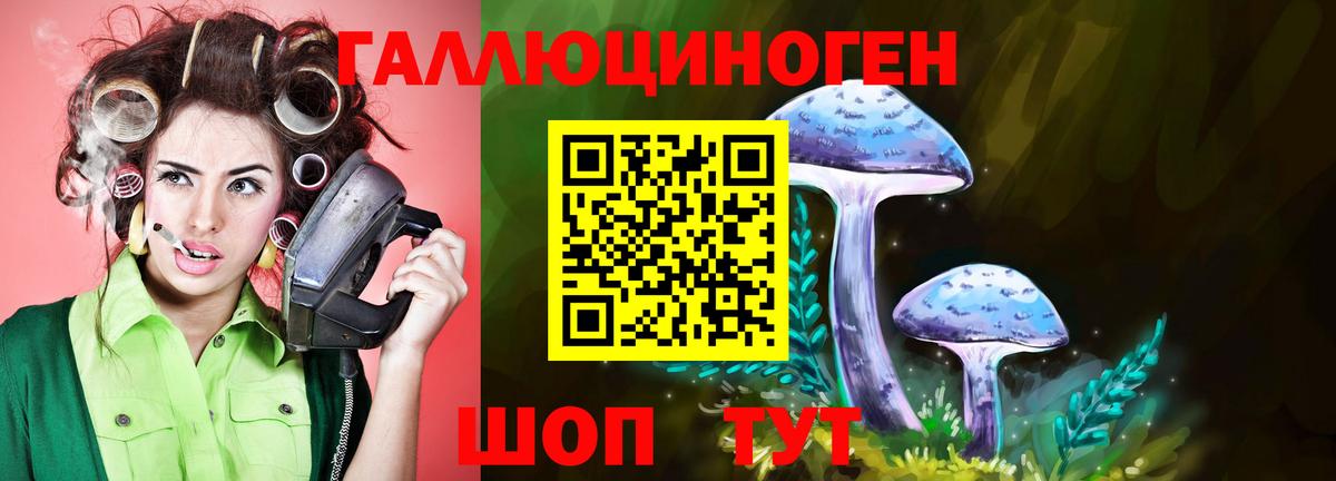 Галлюциногенные грибы мухоморы  Вход с VPN  Галлюциногенные грибы прущие грибы  Топки 